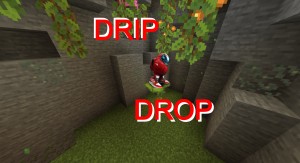 Descargar Drip Drop para Minecraft 1.17