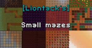 Descargar [Liontack's] Small Mazes para Minecraft 1.16.1