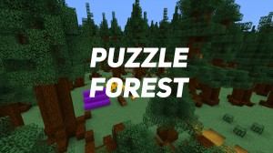 Descargar Puzzle Forest para Minecraft 1.16.5