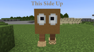 Descargar This Side Up 1.0 para Minecraft 1.18.2