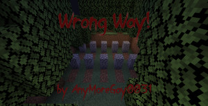 Descargar Wrong Way 1.0 para Minecraft 1.18.2