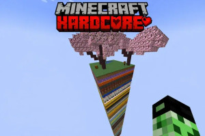 Descargar Hardcore: 1 Chunk – 100 Floors – Custom Economy para Minecraft 1.20